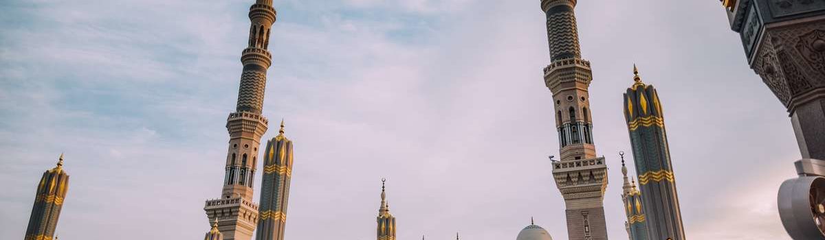 esportazioni in Arabia Saudita
